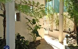 Holiday House