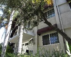 Terrace View
