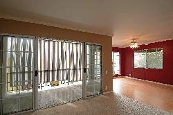 Terrace View