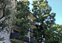 Wilshire Lencrest
