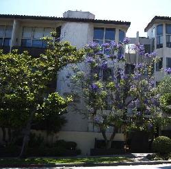 Wilshire Lencrest