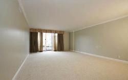339 N Palm Dr