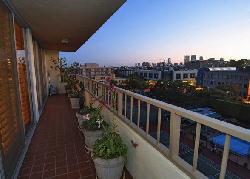339 N Palm Dr