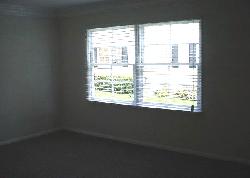515 San Vicente