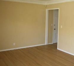 515 San Vicente