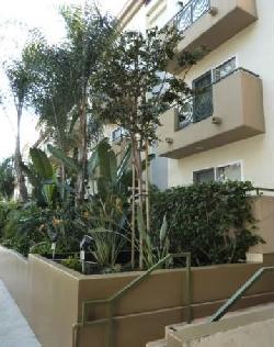 Fuller Condominiums