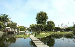 Del Rey Colony