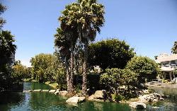 Del Rey Colony