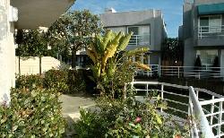 Del Rey Colony