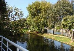 Del Rey Colony