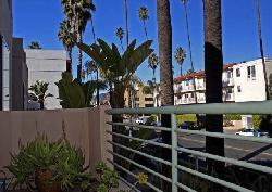 Ocean Regency
