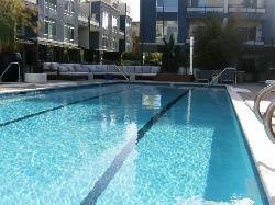 Forty55 Lofts