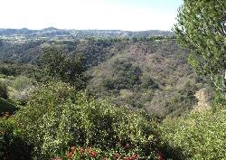 Bel Air Chalet