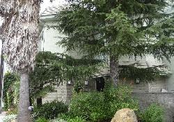 Bel Air Chalet