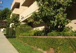 Wetherly Terrace