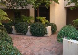 Wetherly Terrace