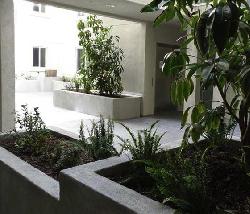 Elements Studio City