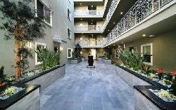 Citron Modern Living