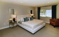 Citron Modern Living