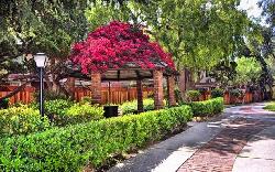 Heather Village