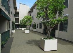 Country Club Condominiums