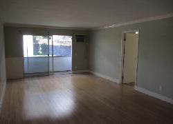Sawtelle Living