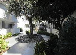 Sawtelle Living