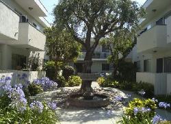 Sawtelle Living