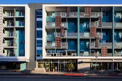 Stella