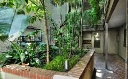 Bonita Evergreen