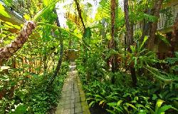 Fairfax Tropics