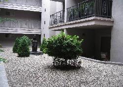 Doheny Park Terrace