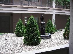 Doheny Park Terrace