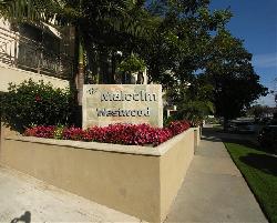 Malcolm Westwood