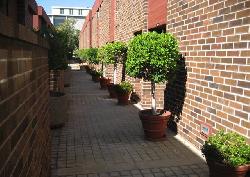 Burton Hill Townhomes