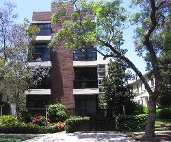 Palm Terrace