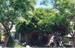 438 N Palm