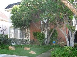 438 N Palm