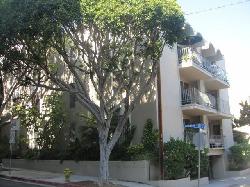 874 Hammond