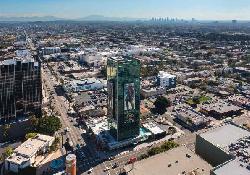 Sunset Vine Tower
