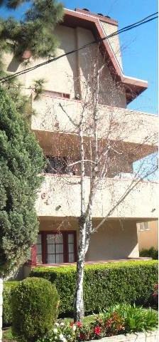 Ozeta Terrace