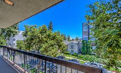 Beverly Hills Pinnacle
