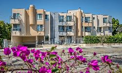Strata Olympic