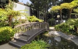 Cross Creek Village