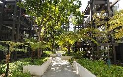 Cross Creek Village