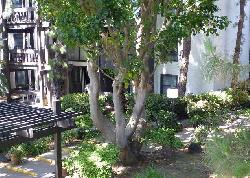 Cross Creek Village