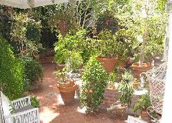 Regency Oakhurst