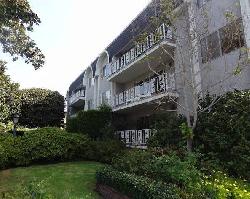 404 San Vicente