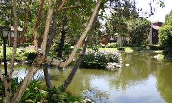 Lakeside Village