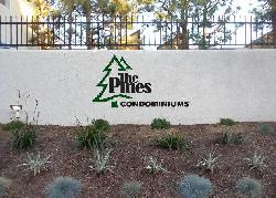 Pines, The